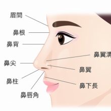 鼻の形の種類 リッツ美容外科大阪院 鼻整形 大阪で鼻を高く 小鼻を小さく リッツ美容外科大阪院 鼻の形の種類 リッツ美容外科大阪院 鼻整形 大阪で鼻を高く 小鼻を小さく リッツ美容外科大阪院